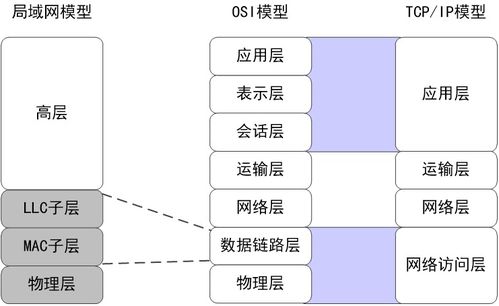 局域網技術在計算機網絡開發中的核心作用與發展趨勢